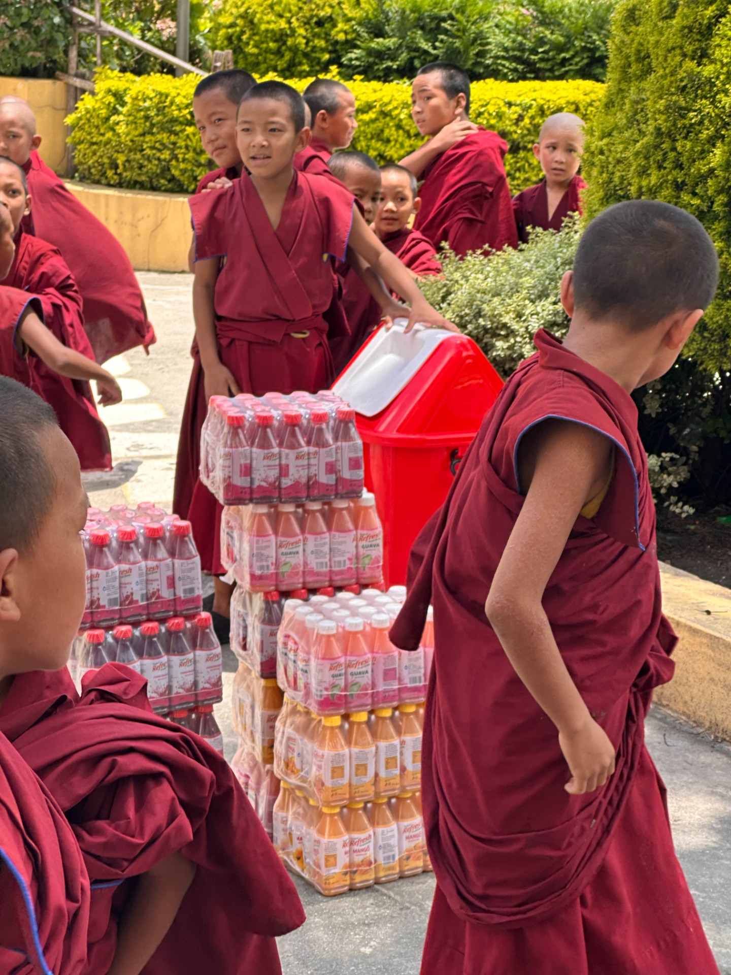distribution de nourriture et d'eau été 2025